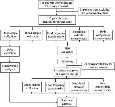 Gut microbiota dysbiosis and protein energy wasting in patients on hemodialysis: an observational longitudinal study